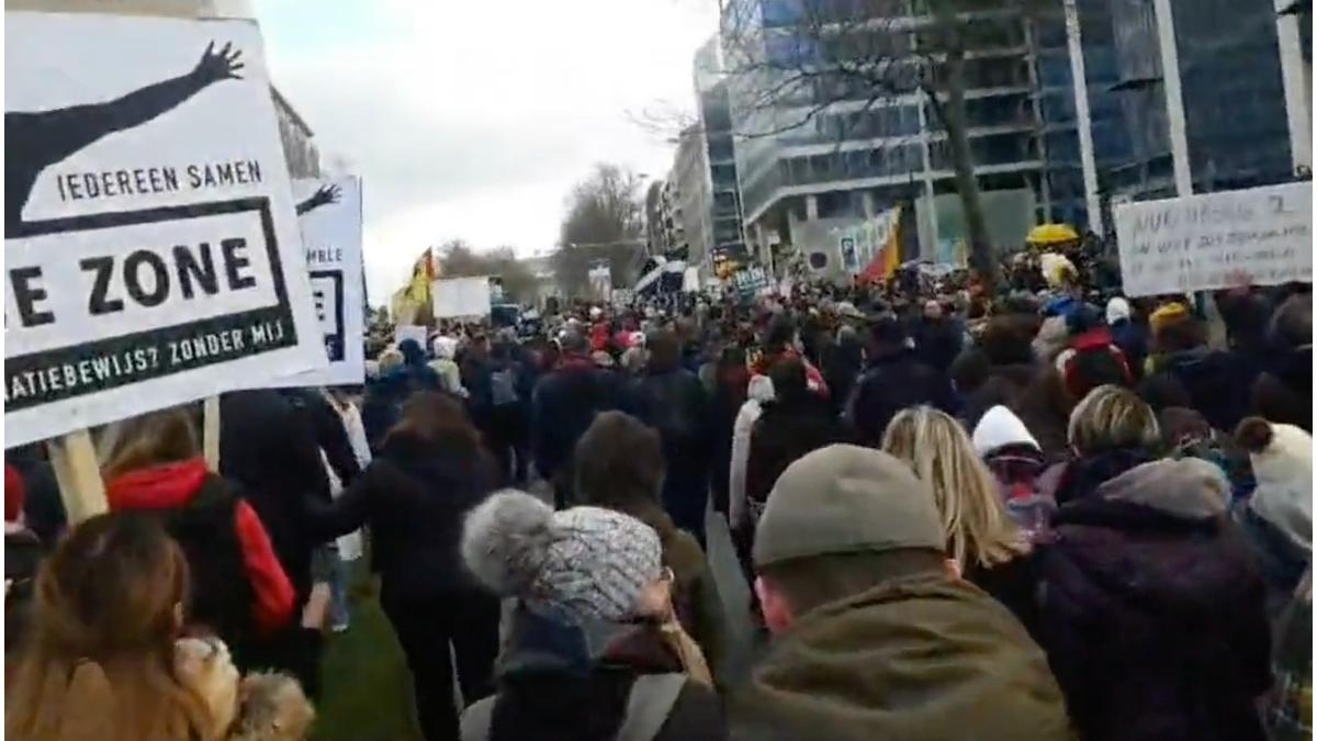 protest Bruxelles