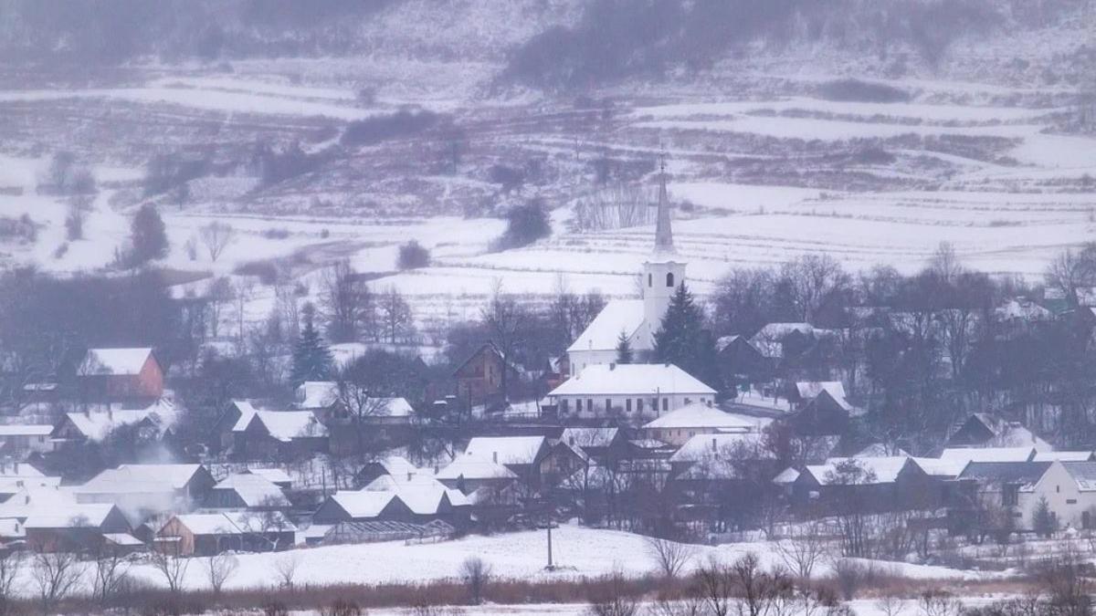 virus romania ungaria gripa aviara