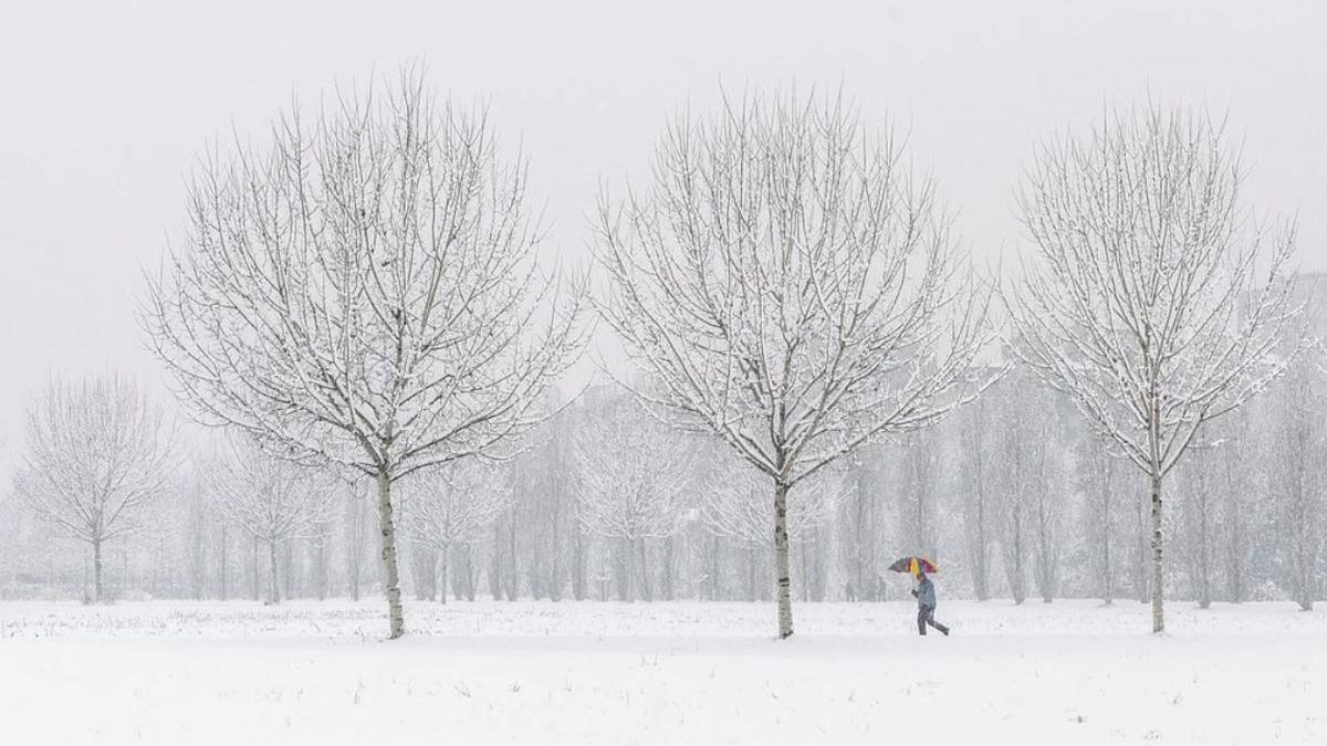 prognoza meteo iarna