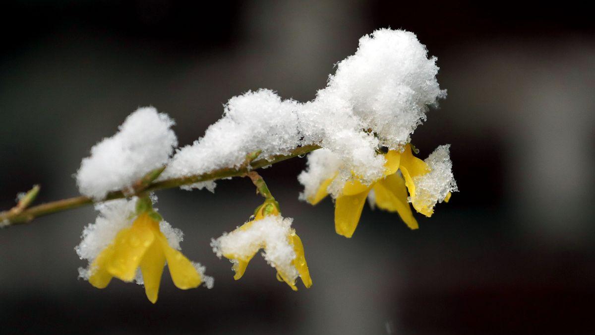 Prognoza meteo 7 februarie - 7 martie 2022. Cum va fi vremea în următoarele patru săptămâni