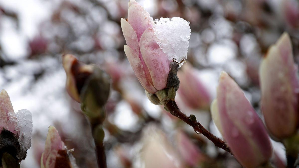 Prognoza meteo. Vreme neobișnuită în ultima lună de iarnă. Meteorologii au anunțat cât de cald va fi până la sfârșitul lunii