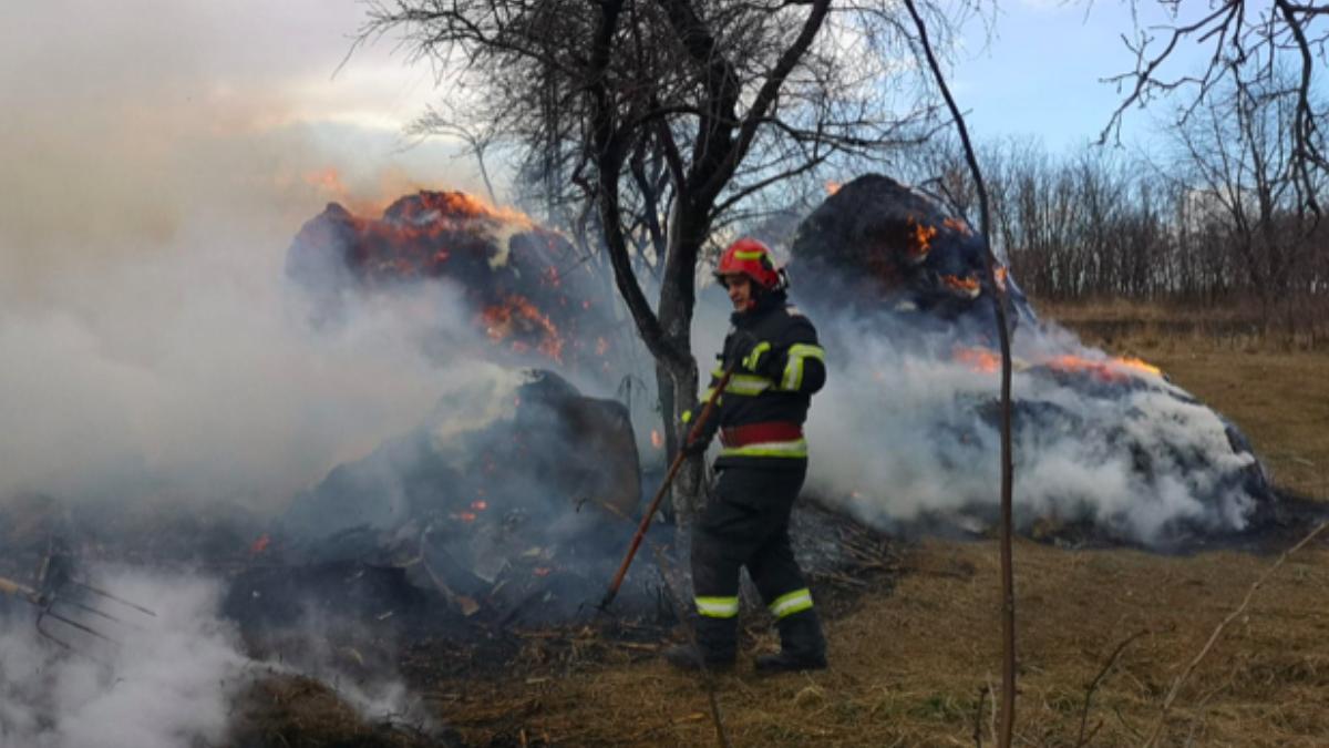 foc-adapost-botosani