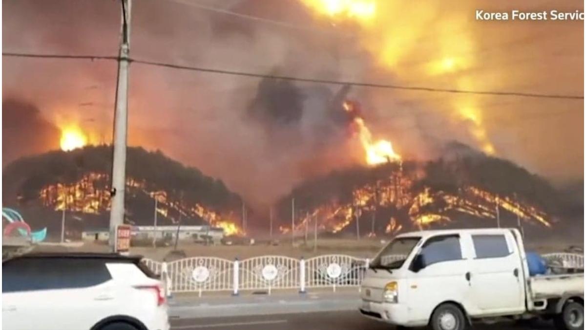 incendiu Coreea de Sud