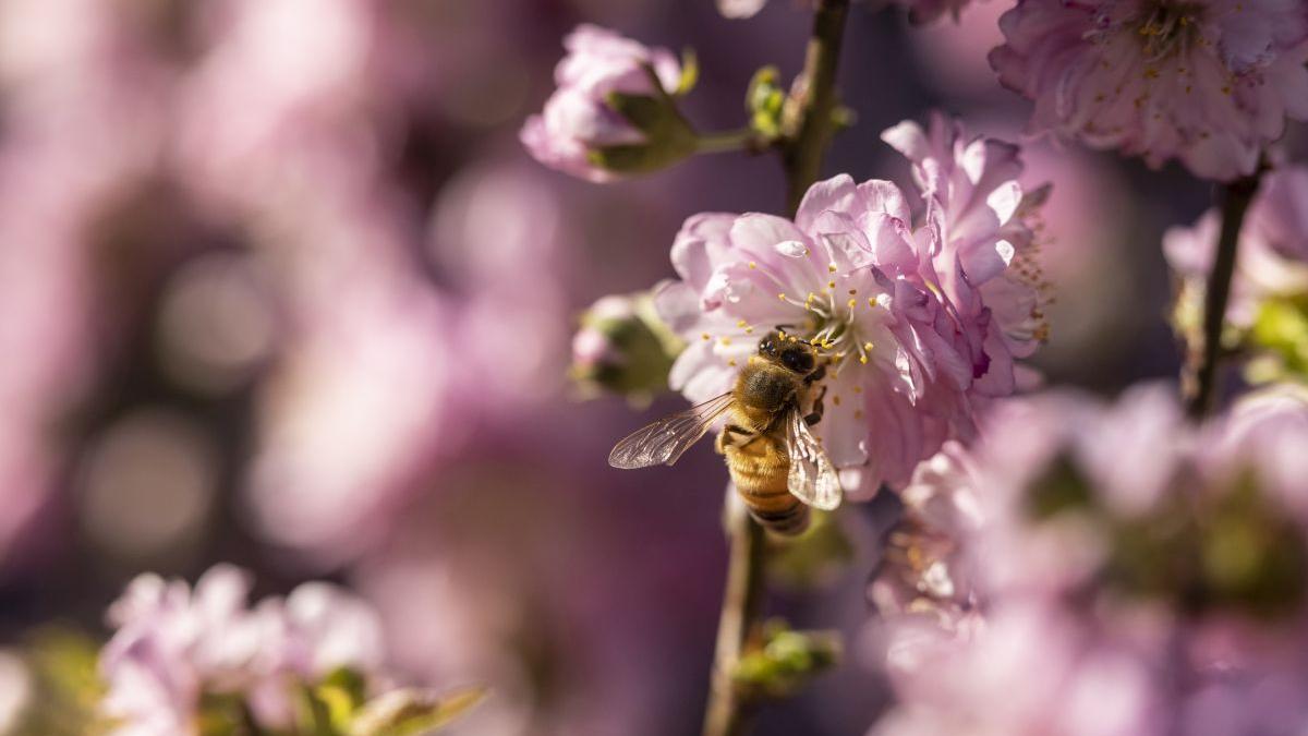 Prognoza meteo actualizată 7 -10 aprilie 2022. Cum va fi vremea până duminică 