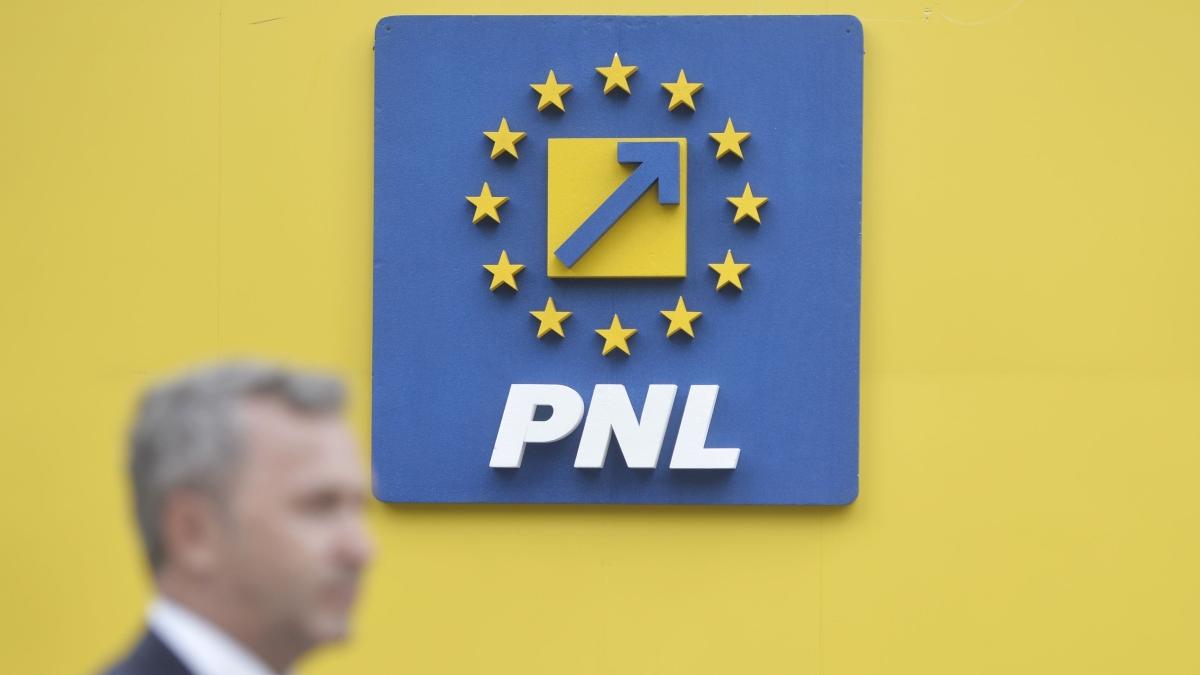 PNL a stabilit nominalizările la Ministerul Fondurilor Europene, la Ministerul Digitalizării și la CCR