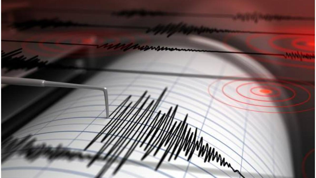 Două cutremure în România, în această dimineață. Seismele au fost resimțite în mai multe orașe