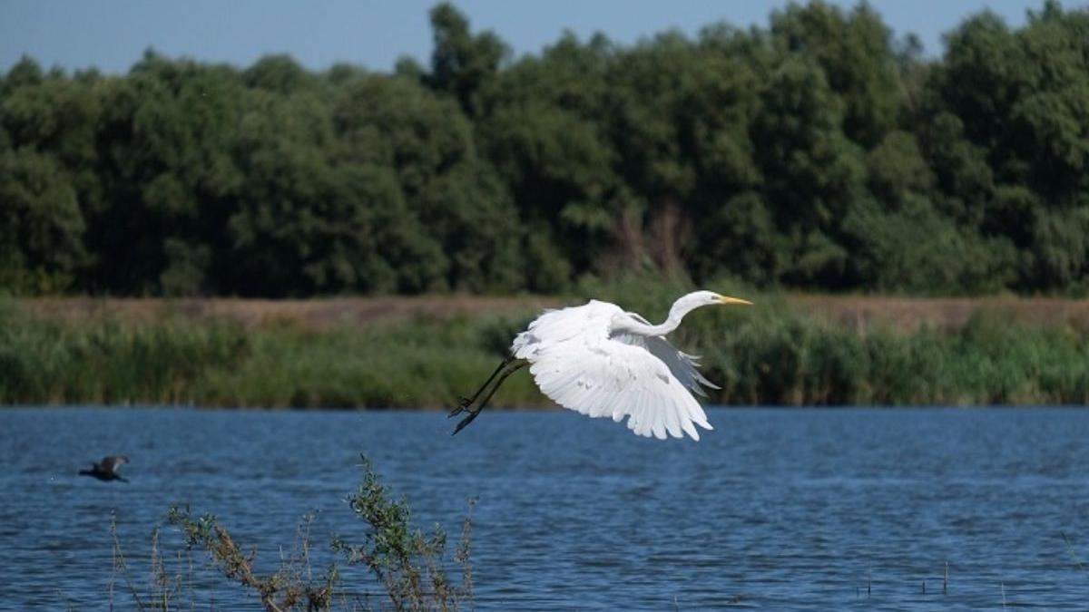 5 motive pentru care ar trebui sa faci o excursie in delta dunarii