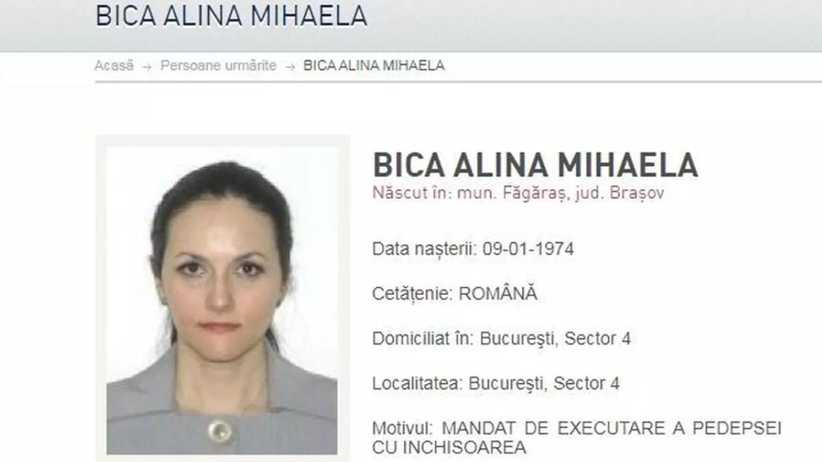 alina bica politia romana