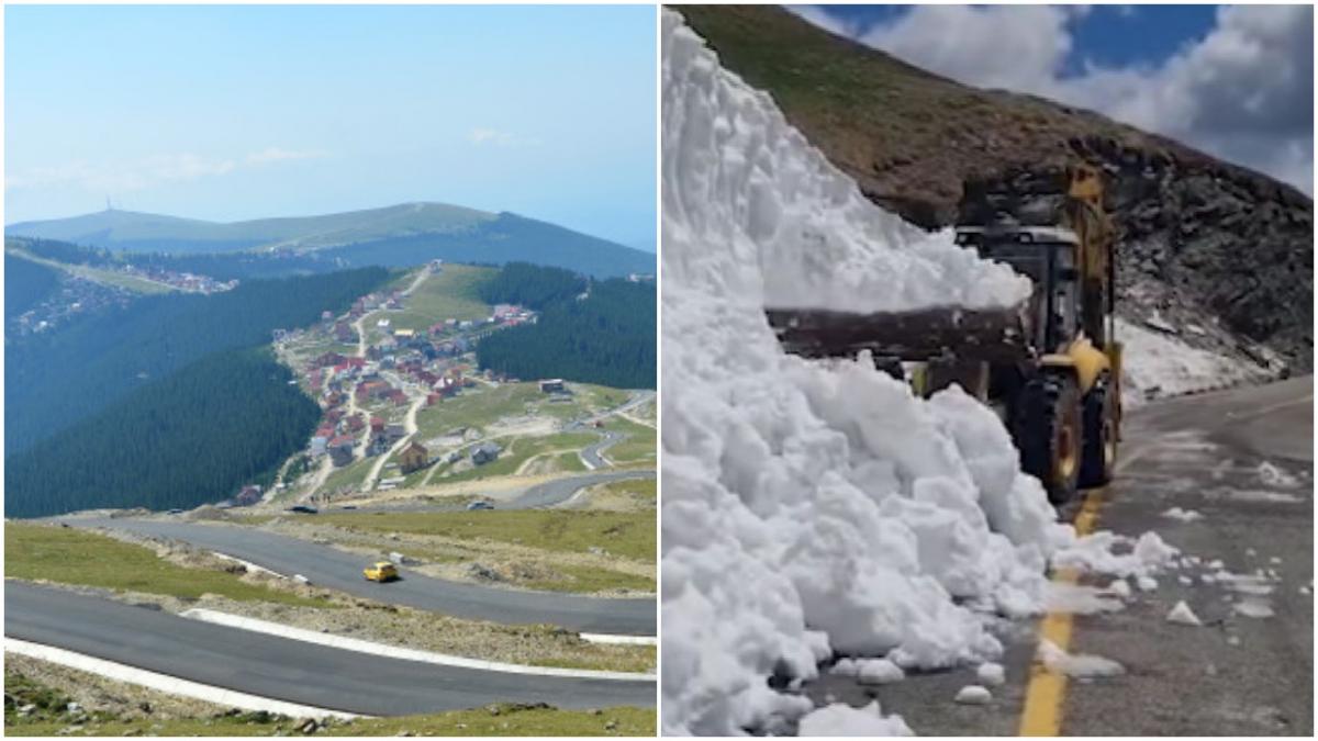 Transalpina