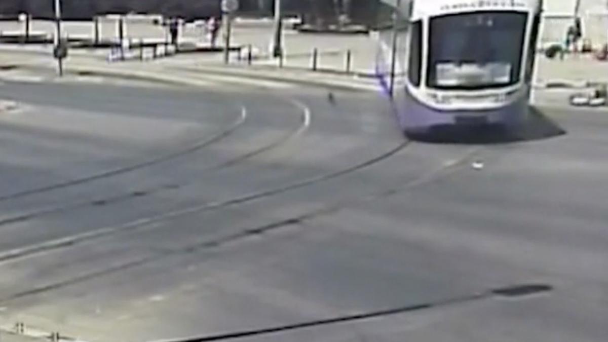 tramvai timisoara