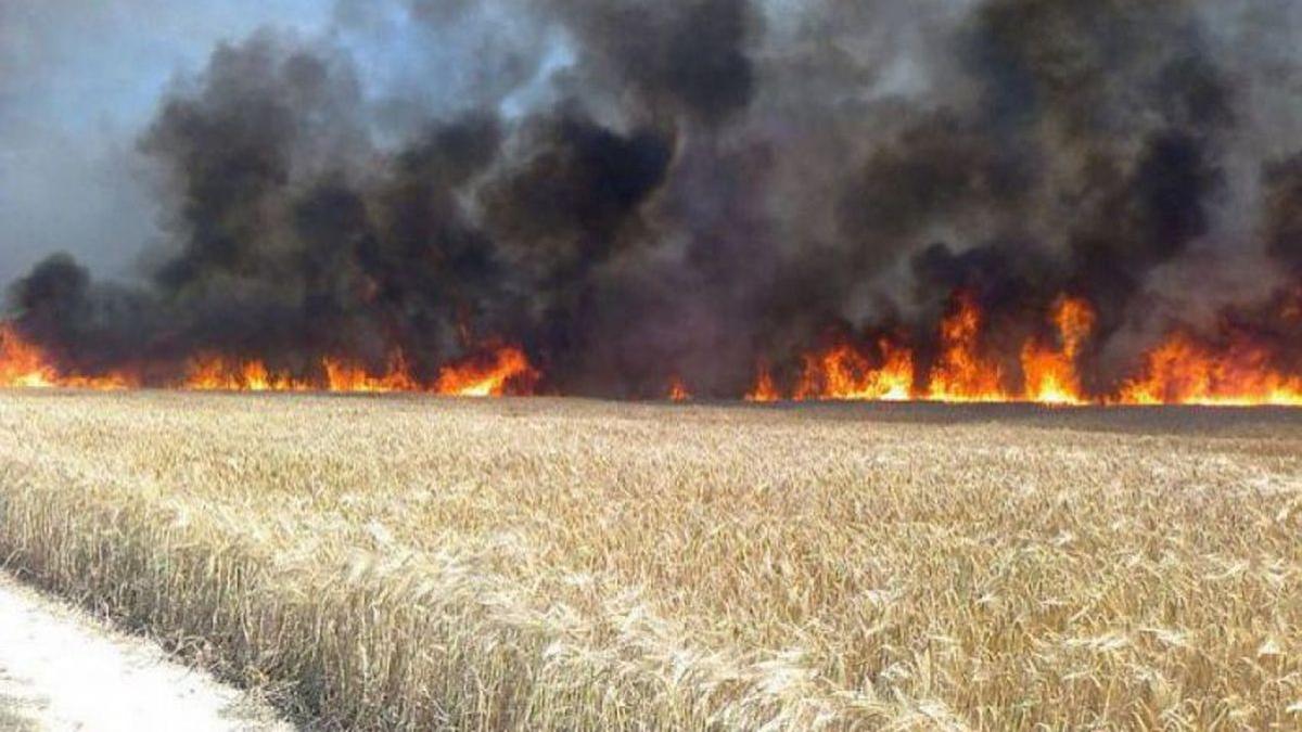 incendiu vrancea hectare grau