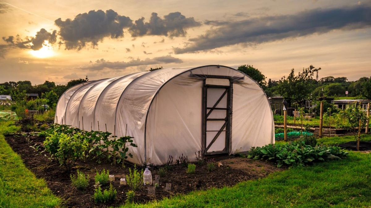 de ce sunt importante serele pentru agricultura de performanta