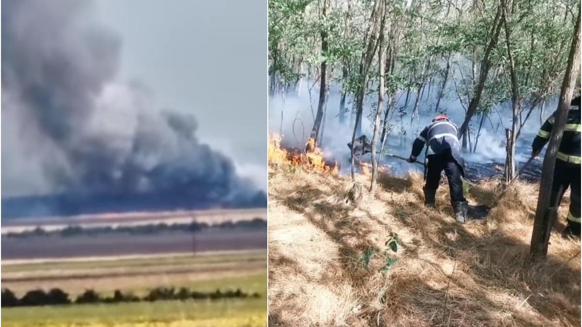 Incendiu violent de vegetaţie în Vrancea