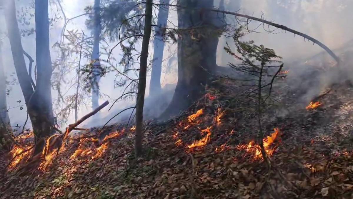 incendiu muntii rodnei