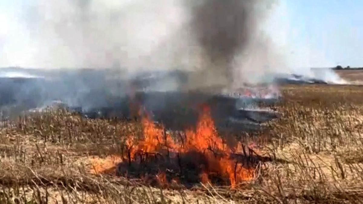 incendiu sacalaz timisoara