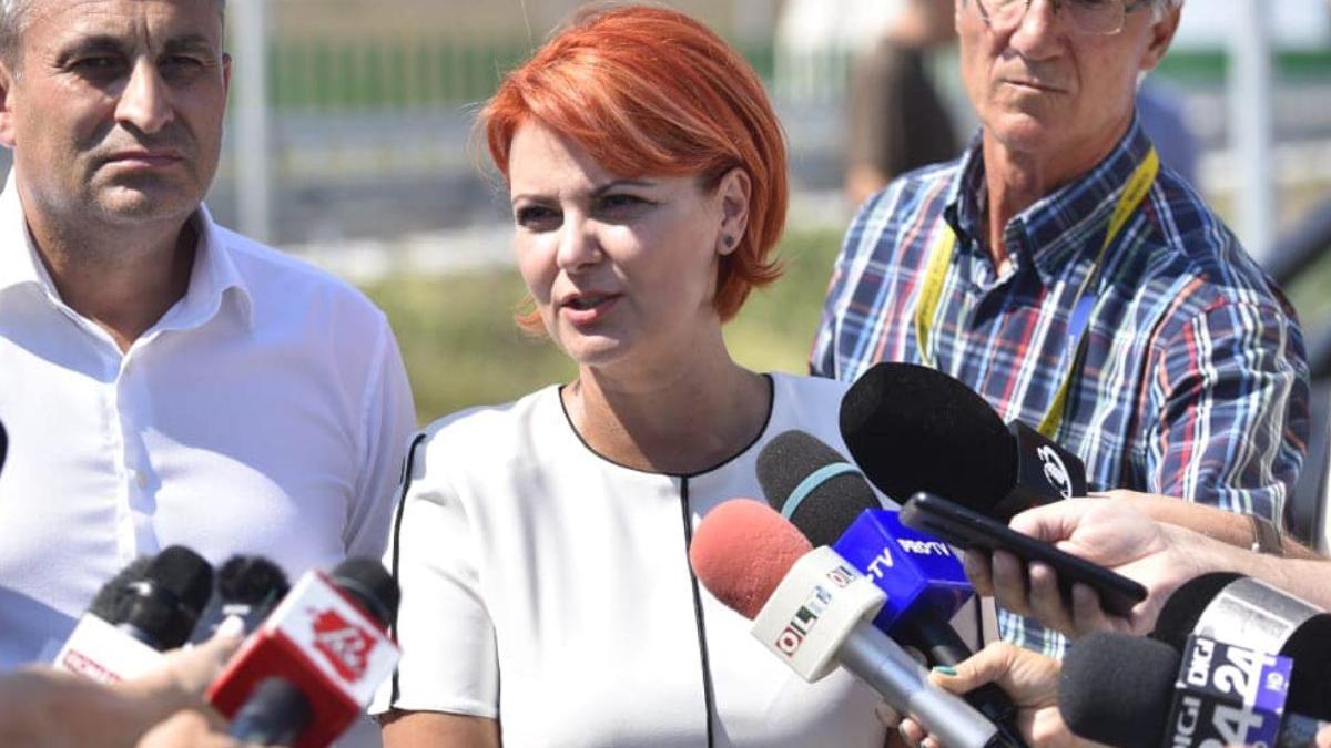 lia olguta vasilescu craiova