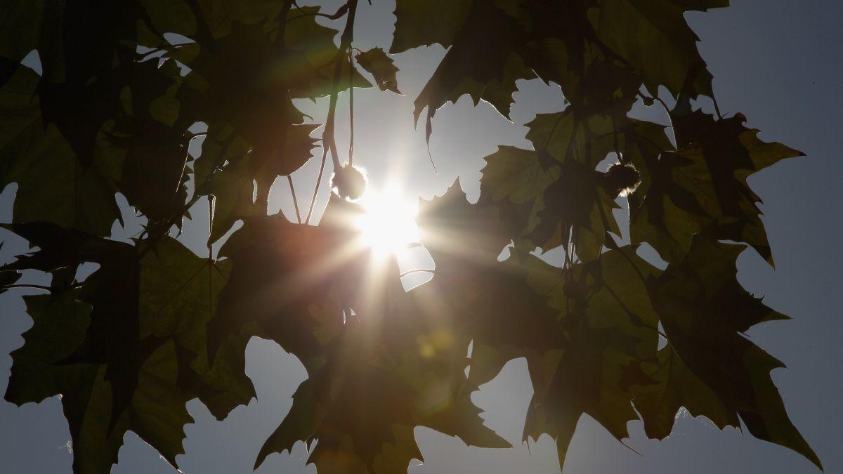 Prognoza meteo pentru luna august! Meteorologii au anunțat ce ne așteaptă în perioada următoare