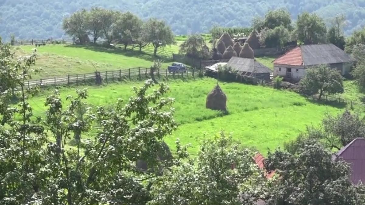 comuna romania hunedoara