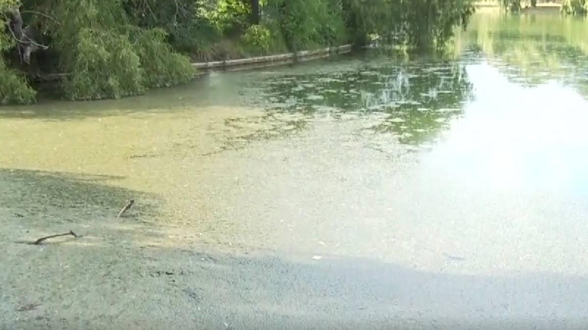 lac parcul tineretului