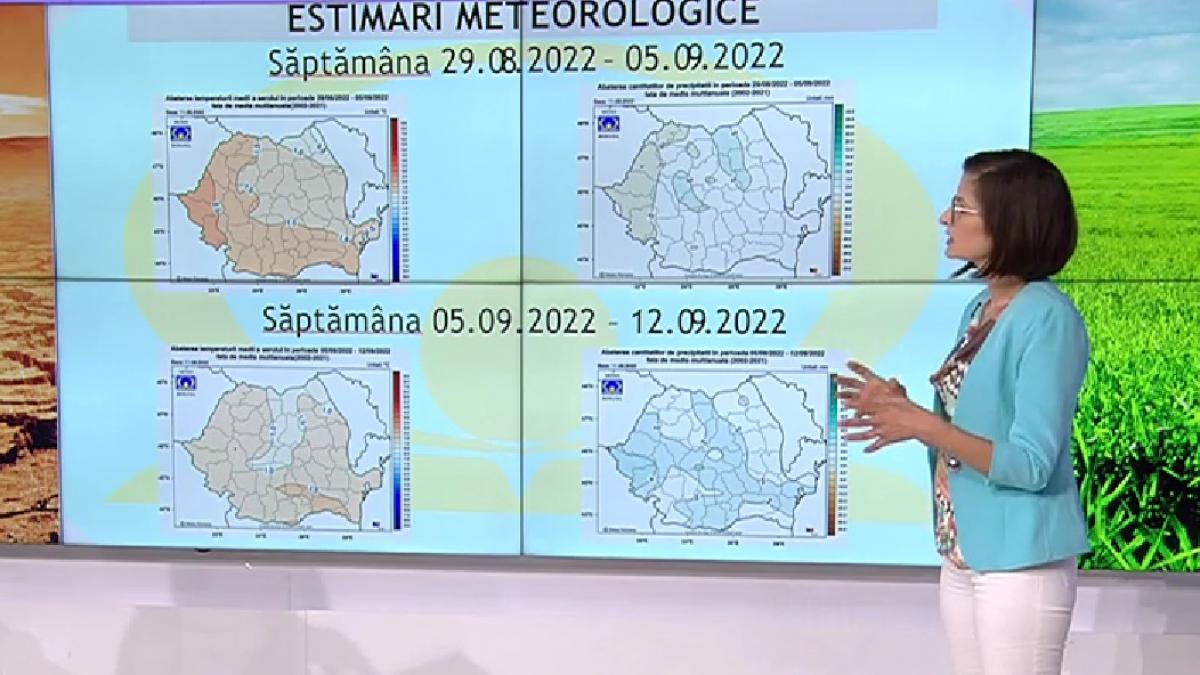 prognoza meteo