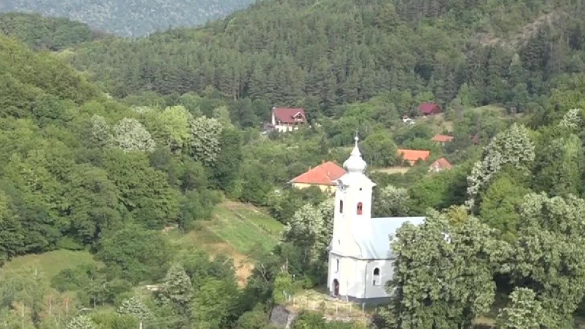 sacaramb hunedoara metale pretioase aur