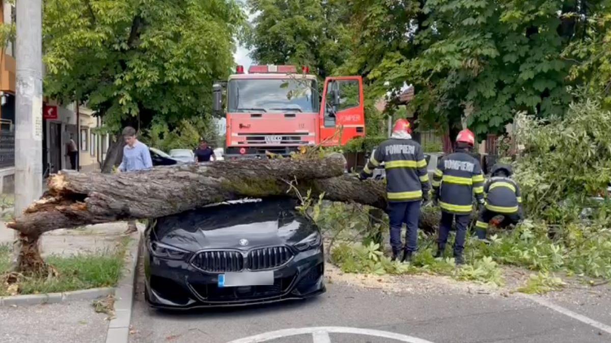 bmw distrus copac pitesti