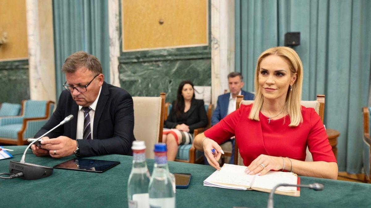 Gabriela Firea: ”Majorăm standardele de cost pentru serviciile sociale!”