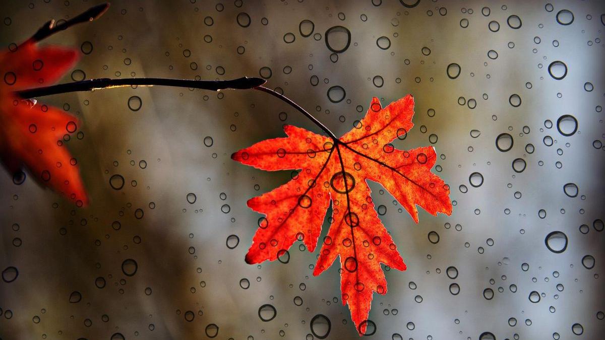 Prognoza meteo pentru prima lună de toamnă. Vin ploile în România