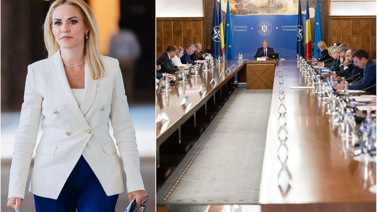 gabriela firea facebook