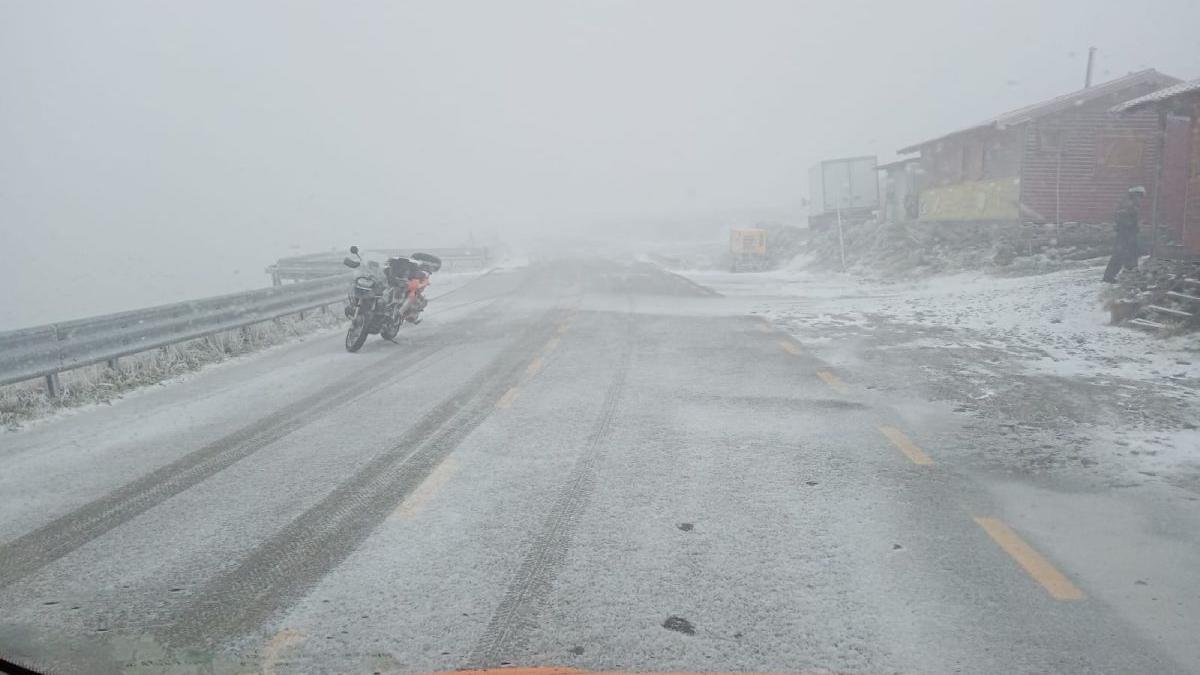 lapovita ninsoare transalpina