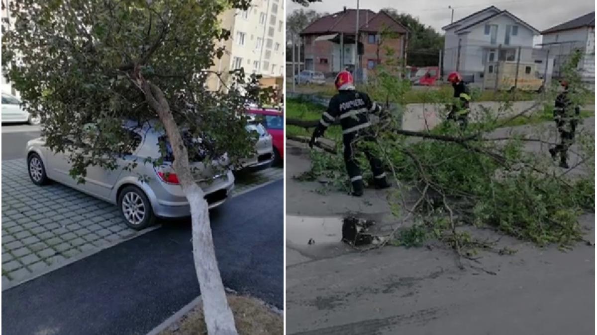 vreme rea ravagii pagube vant puternic