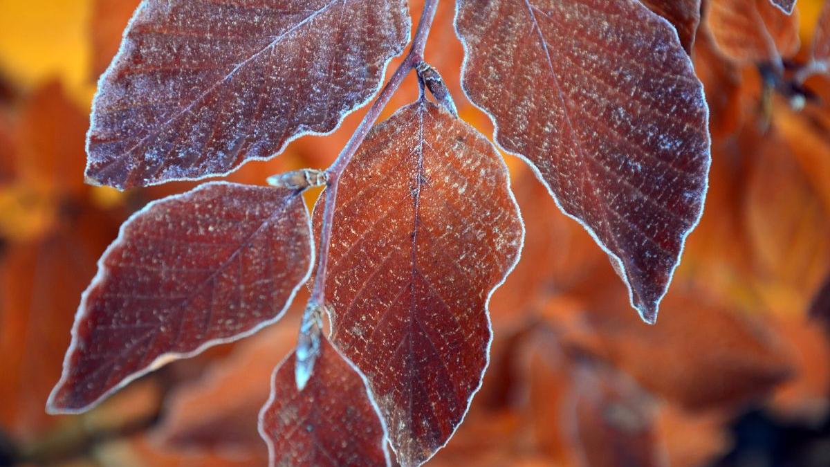 Temperaturi de vară în acest weekend! Când vine frigul | Temperaturile scad cu 10 grade de la o zi la alta