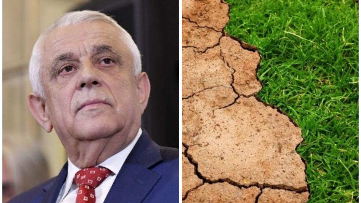 Ministerul Agriculturii, anunţ despre judeţele afectate de secetă | Măsuri de sprijin pentru fermieri