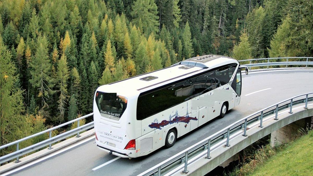 romana abandonat autocar germania