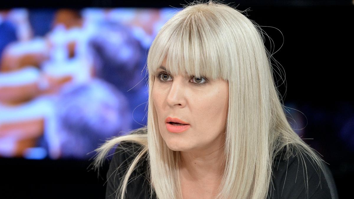 elena udrea reactie anaf vanzare masini terenuri dosar gala bute