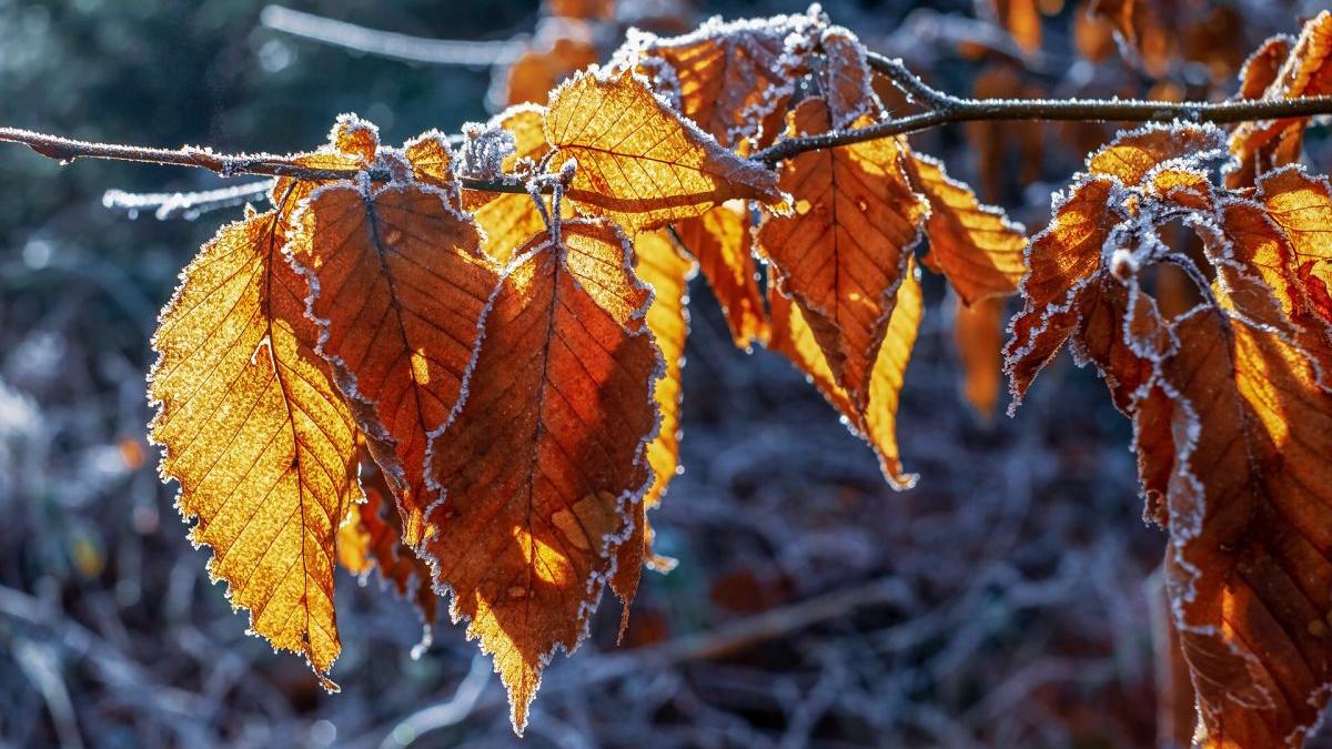 Cât mai ține vremea caldă și când vin ploile în România. Prognoza meteo pentru următoarele patru săptămâni