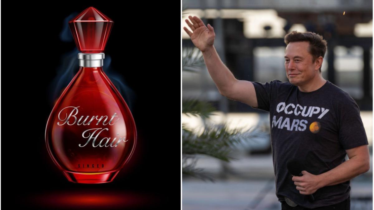 elon musk parfum