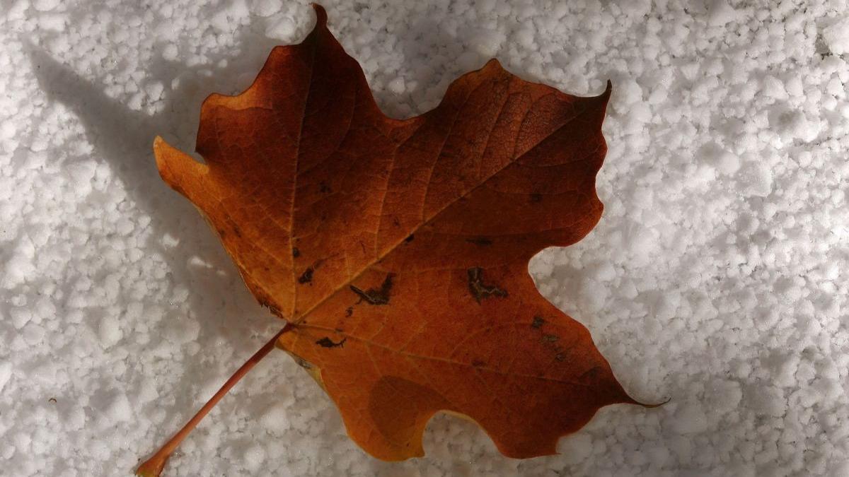 Vine frigul în toată țara! Unde va ninge astăzi