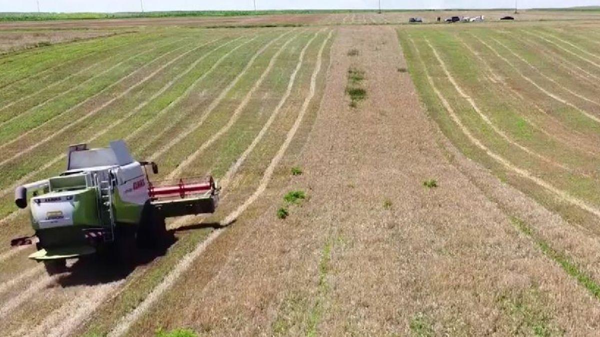 fermieri an agricol dezastruos profit zero