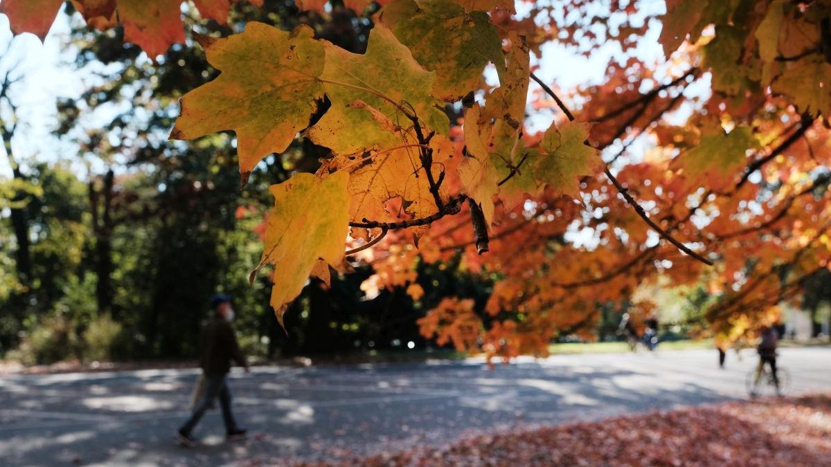 Prognoza meteo actualizată până la jumătatea lunii noiembrie. Ce temperaturi vom avea în România