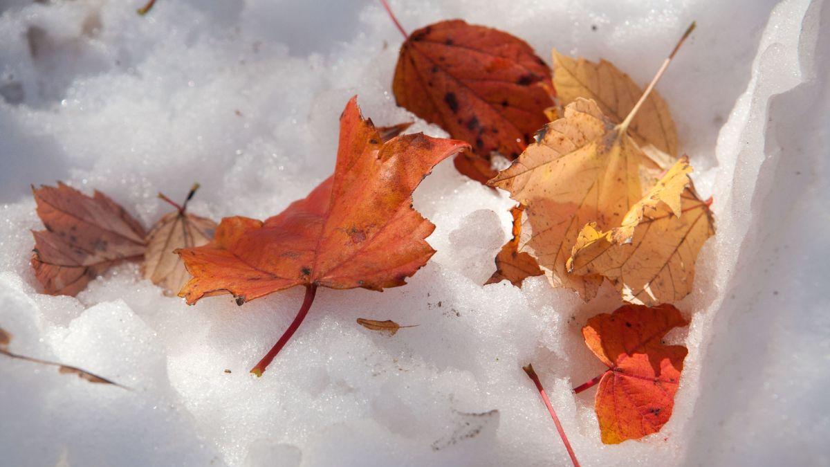 Prognoza meteo pe regiuni. Vremea se răcește în toată țara! Se anunță lapoviță și ninsoare