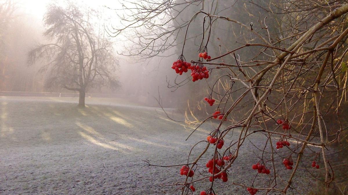 Vremea începe să se răcească în România! Prognoza meteo pentru următoarele două săptămâni