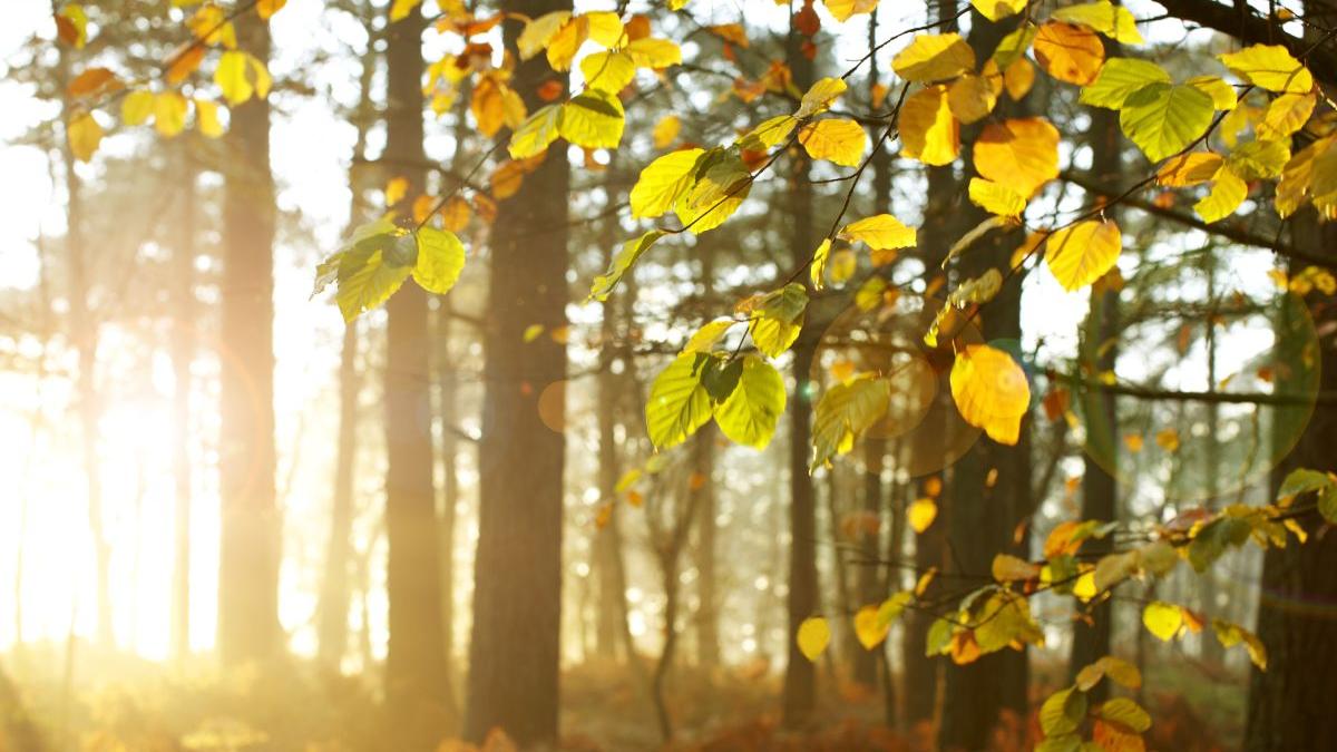 temperaturi anormale romania avertisment meteorologi anm