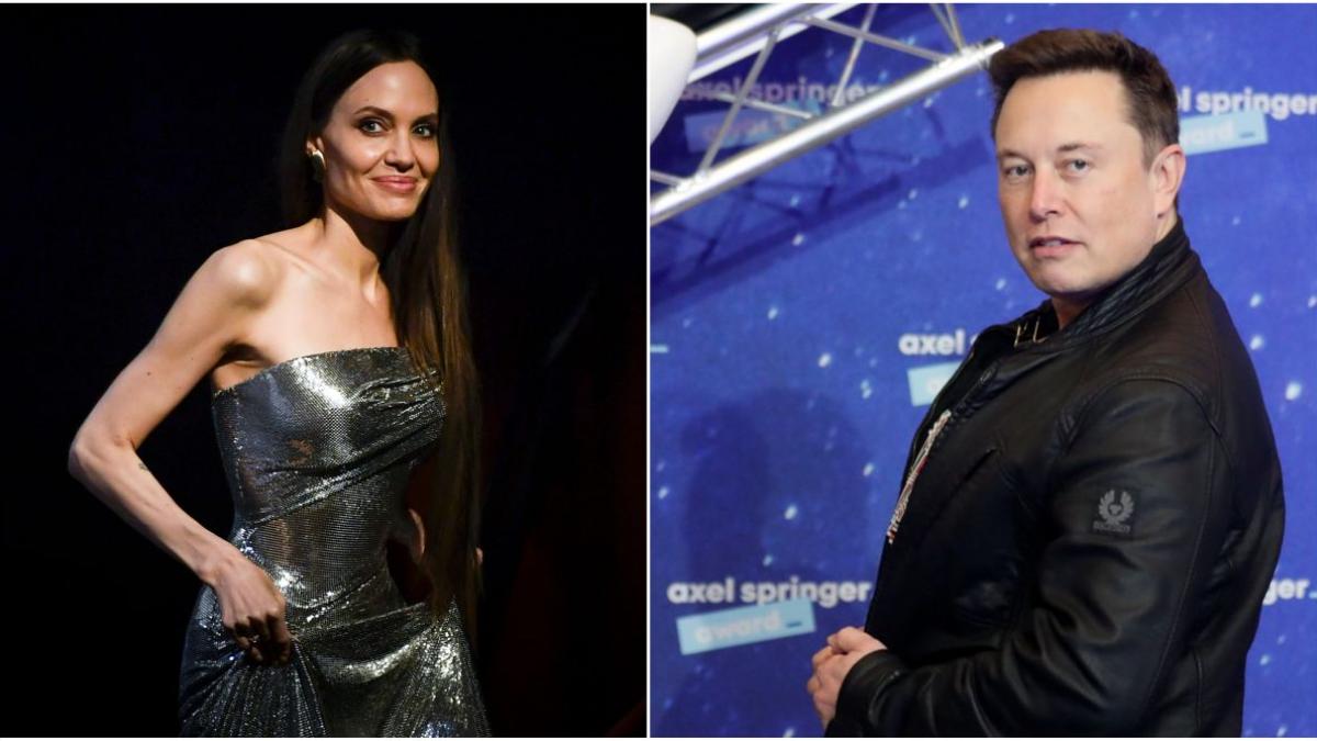 elon musk angelina jolie