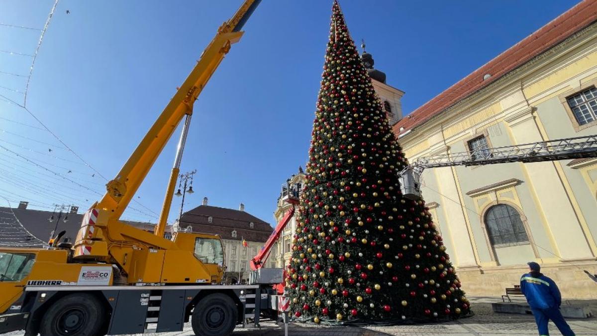 brad craciun Sibiu