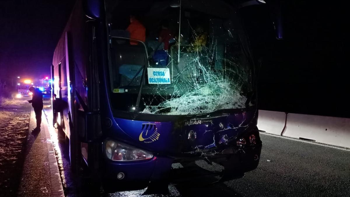 taur lovit de un autobuz pasageri accident masina prahova dn1