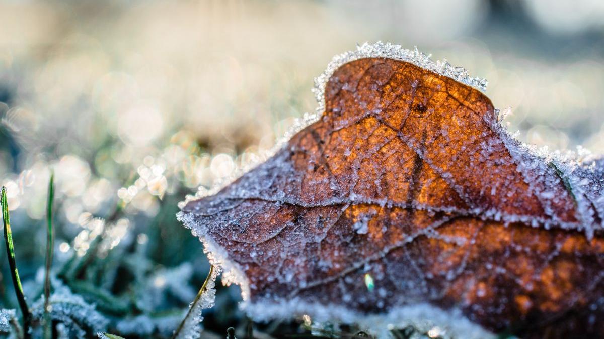 Vremea se răcește semnificativ în toată țara! Prognoza meteo pentru următoarele două săptămâni