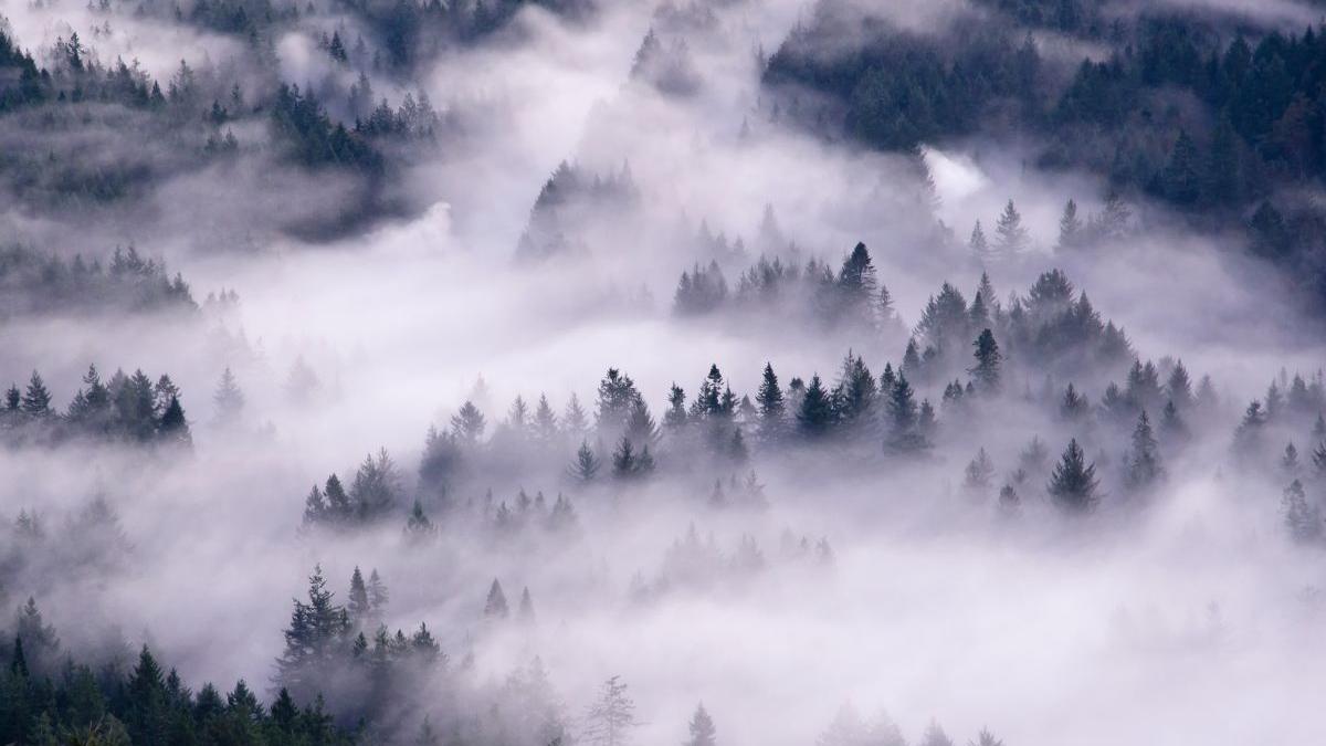 ceata avertizare meteo