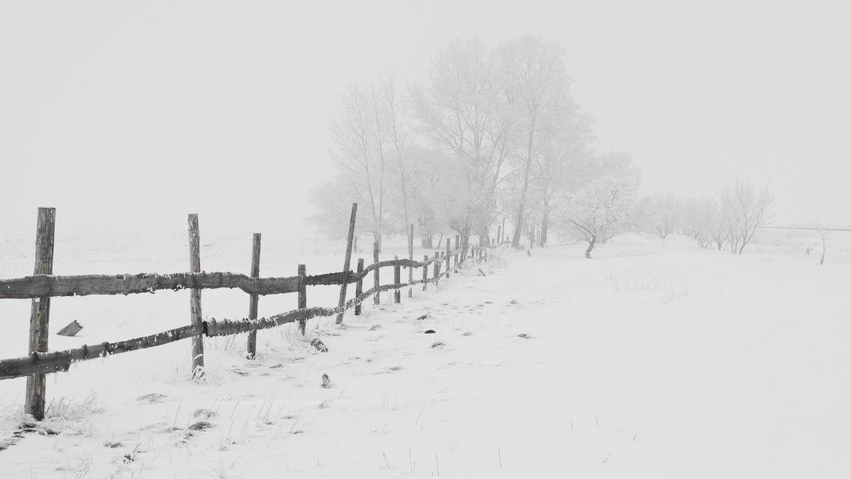 prognoza meteo vremea