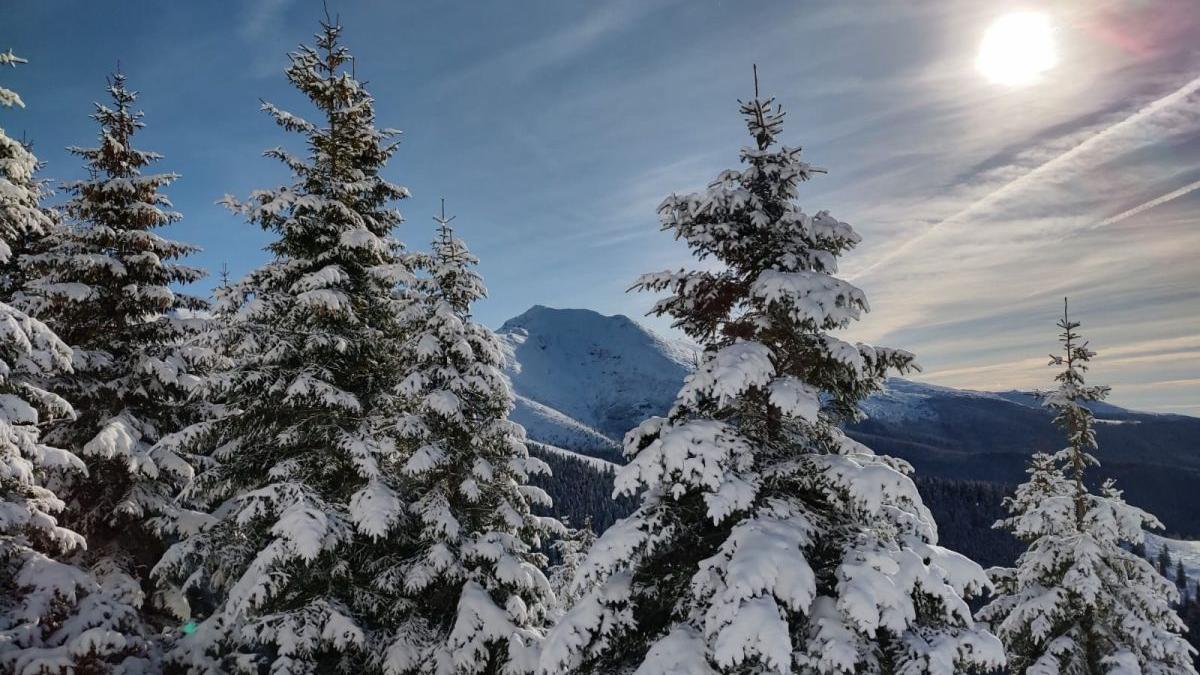 meteo 1 decembrie